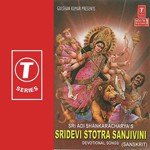 Sridevi Stotra Sanjivini - Devi Sri Prasad Song Download